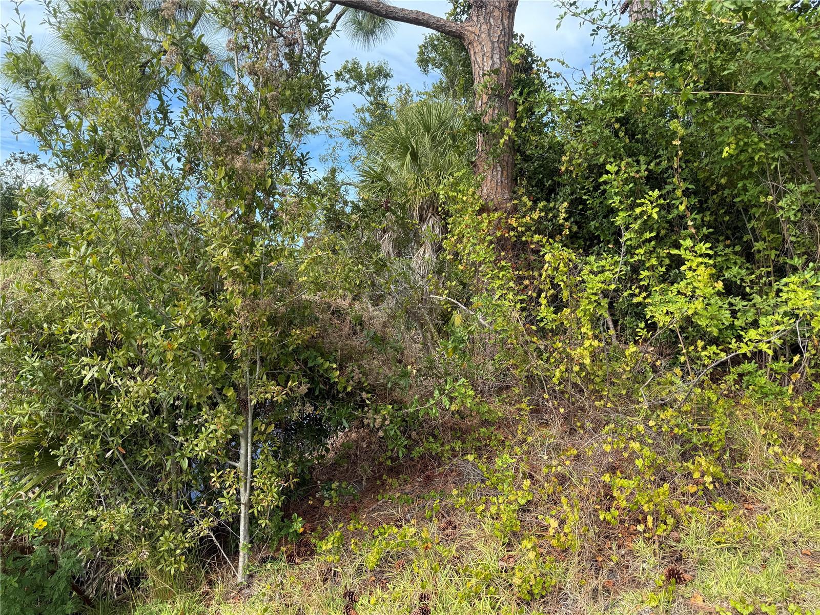 PORT CHARLOTTE SEC 065 - Land