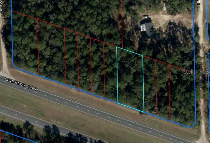 Nearly half an acre available for you to build your site-built home in the peaceful subdivision of Williston Highlands. This country-like setting offers both tranquility and convenience, located less than 5 miles from historic downtown Williston—known as the "Gateway to the Nature Coast." Enjoy browsing unique antique shops or taking a swim at the famous Devil's Den Springs. Come make this your home today!