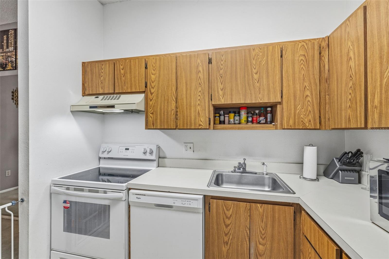 RAINTREE VILLAGE CONDO N - Residential