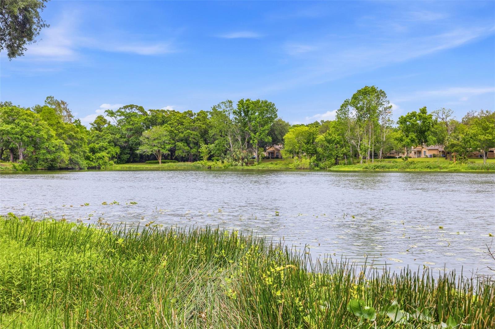 RAINTREE VILLAGE CONDO N - Residential