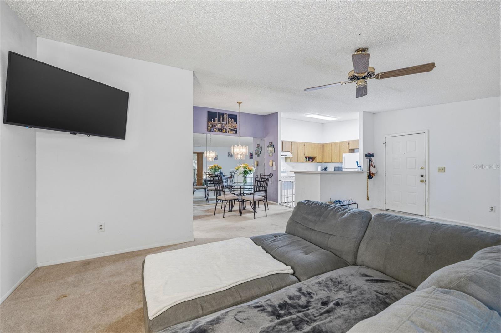 RAINTREE VILLAGE CONDO N - Residential