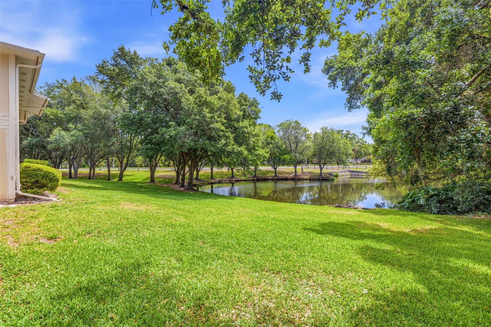 RAINTREE VILLAGE CONDO N - Residential