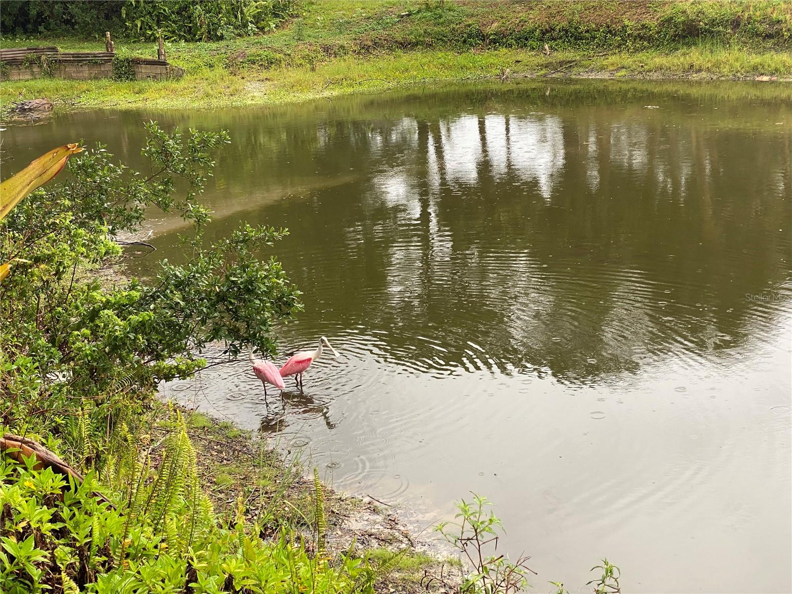 LONGLAKE ESTATES - Residential