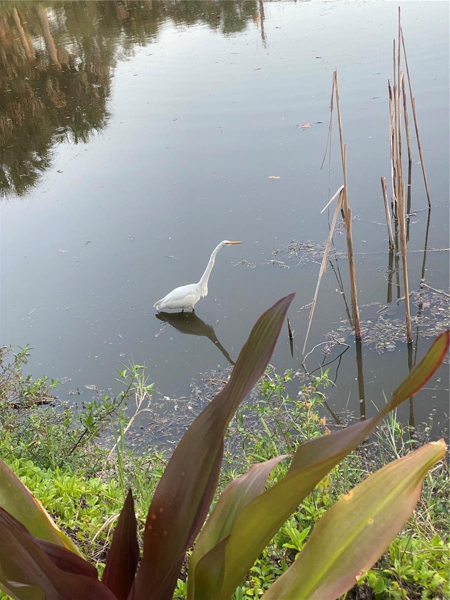 LONGLAKE ESTATES - Residential