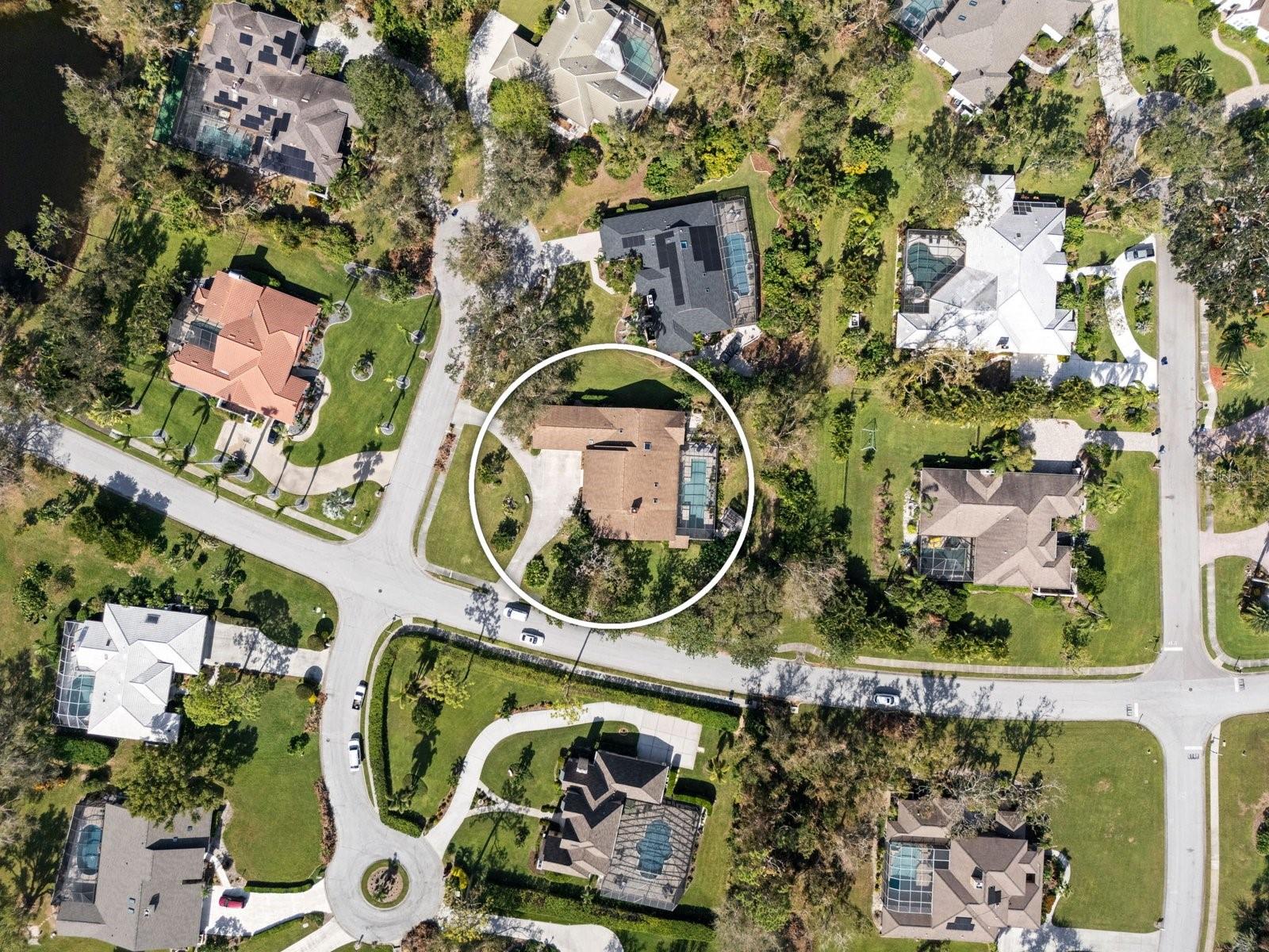 7317 CRAPE MYRTLE WAY