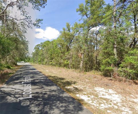 Tiny photo for Tbd Locust Terrace Place, Ocala, FL 34472 (MLS # OM722075)