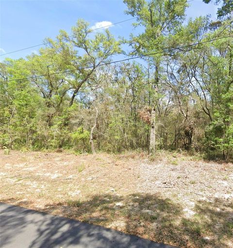Tiny photo for Tbd Locust Terrace Place, Ocala, FL 34472 (MLS # OM722075)