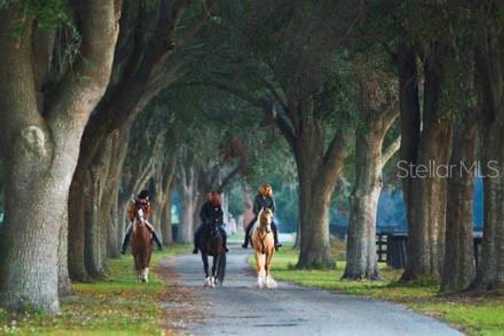 Photo of 0 SE 116th Place Road, Ocala, FL 34480 (MLS # OM695708)