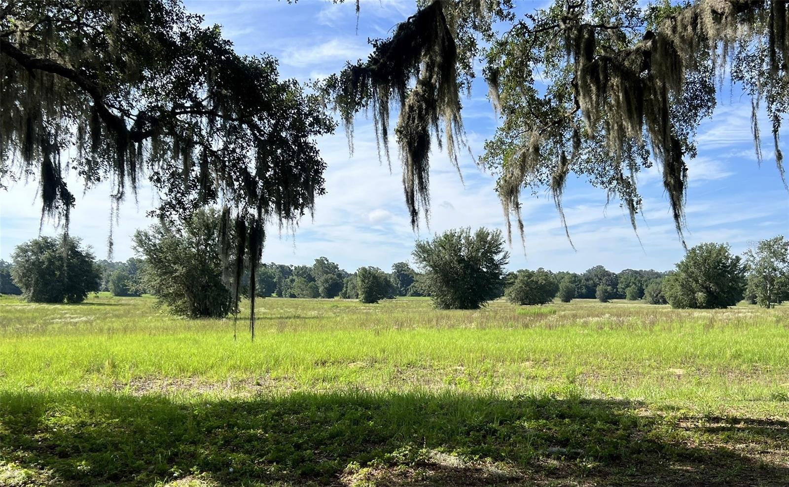 Via Paradisus is a gated community grace wutg beautiful Granddaddy Oaks, paved street, street lighting and has access to the Florida Greenways and Trails. Close to the Florida Horse Park. Deed restricted community, equine friendly. Bring your plans and build your dream home or farm of your choice. Florida's Marjorie Harris Carr Florida Greenway is by far one of the most treasured resources available. Offering hundreds of miles for horseback riding, mountain biking or just plain relaxing, the Florida Greenway awaits your adventure.