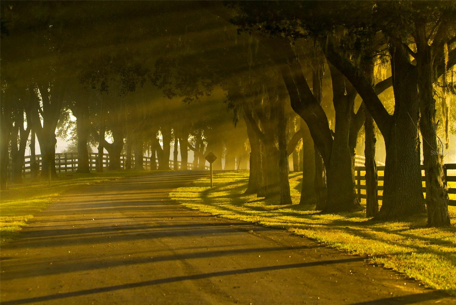 VIA PARADISUS - Land