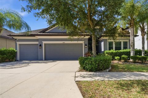13819 MOONSTONE CANYON DRIVE RIVERVIEW FL 33579