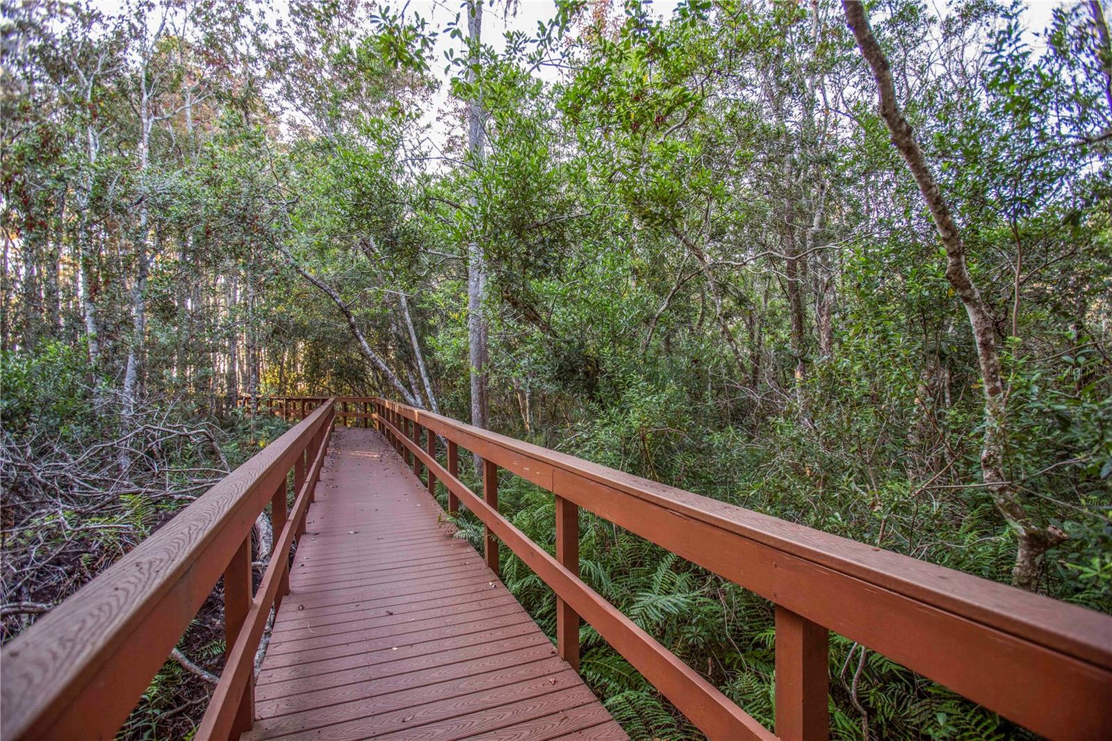 PRESERVE AT LAKE THOMAS - Residential