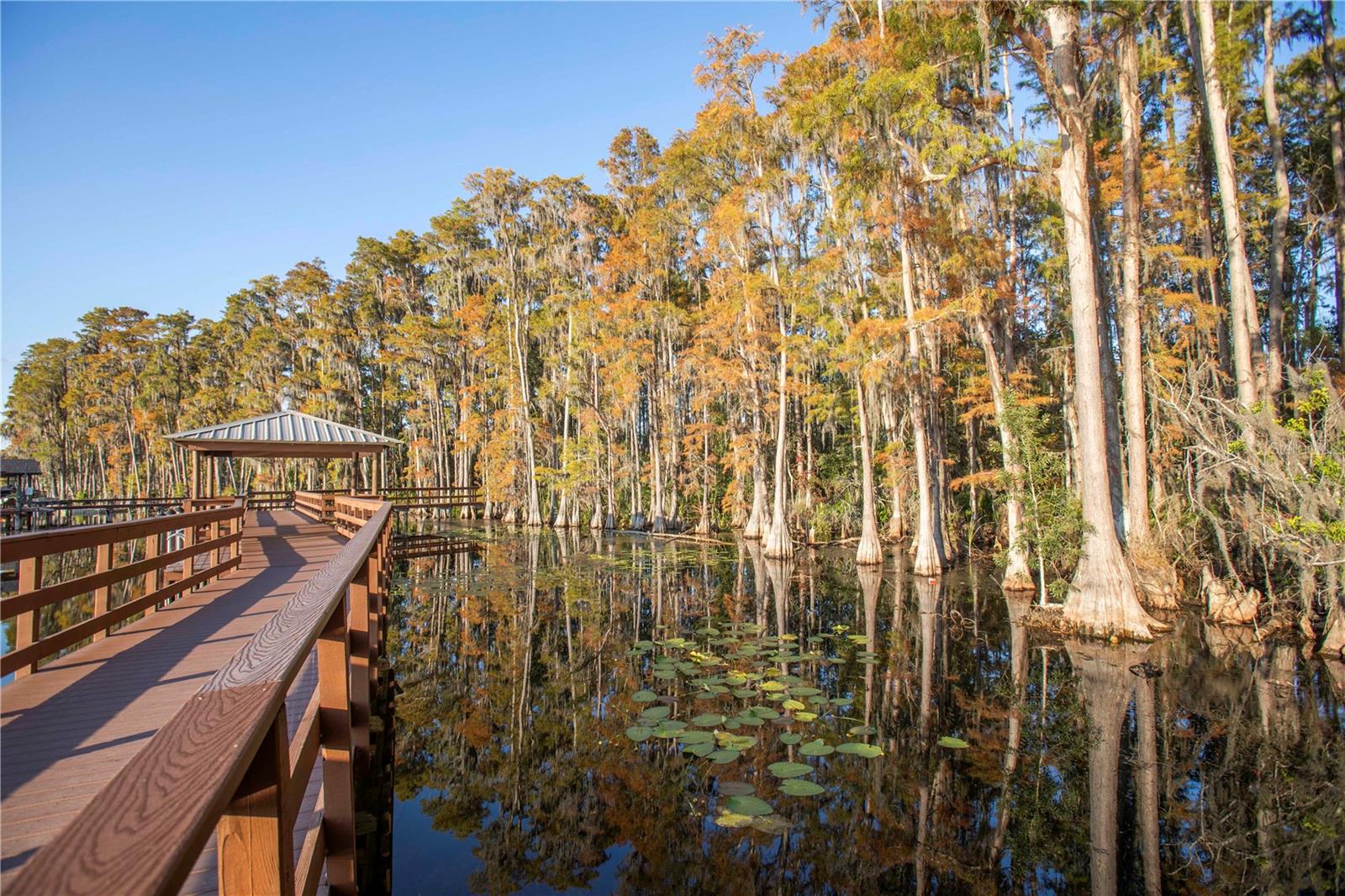 PRESERVE AT LAKE THOMAS - Residential