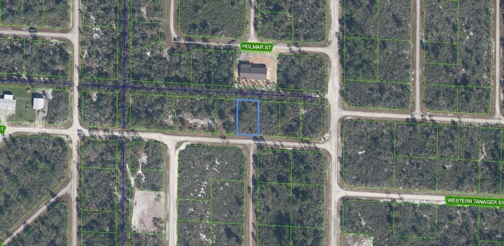 Photo of 3507 Jamboree Street, Lake Placid, FL 33852 (MLS # C7516101)