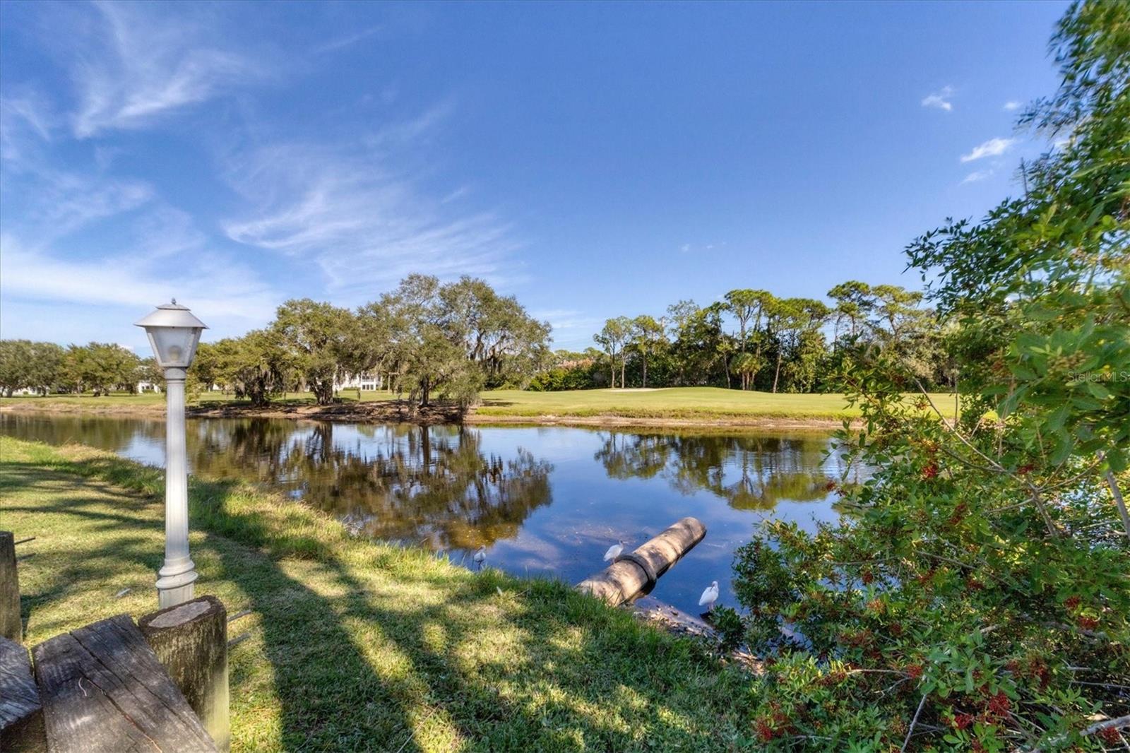 LONG COMMON - Residential