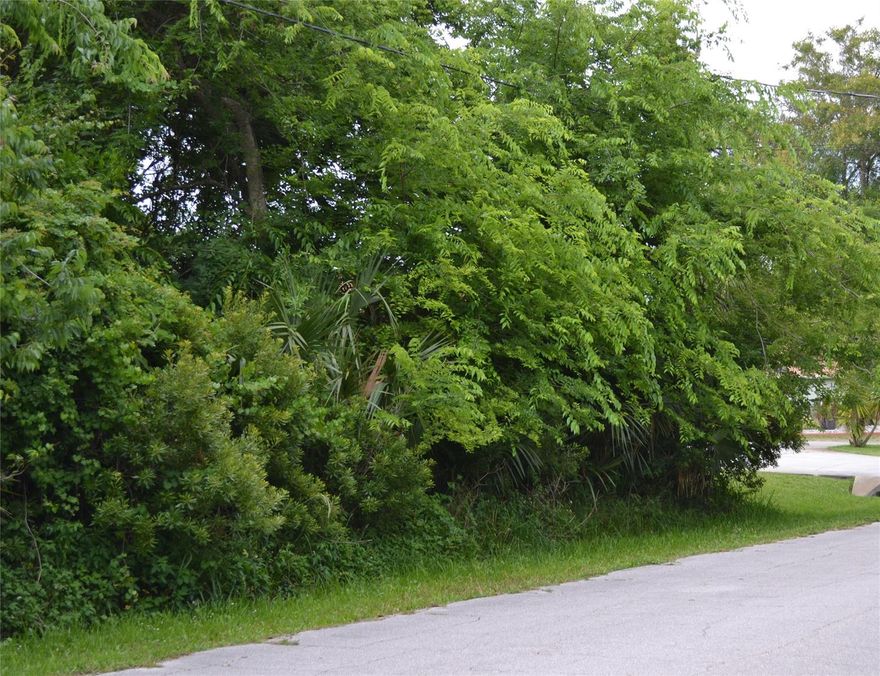 Wooded Lot in growing area of new homes and duplexes.  Canal  in rear of the property.   4.3 miles to Palm Coast Parkway for shopping and dinning.  Choose your plans and builder and enjoy a new home..; Cleared: No ;Water: City