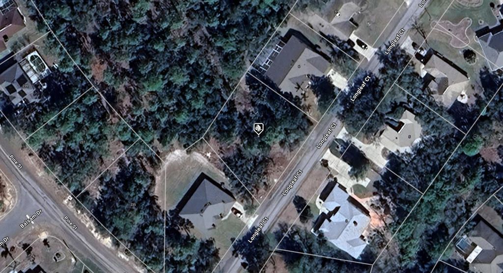 Photo of 4 Longleaf Court, Homosassa, FL 34446 (MLS # A4667742)