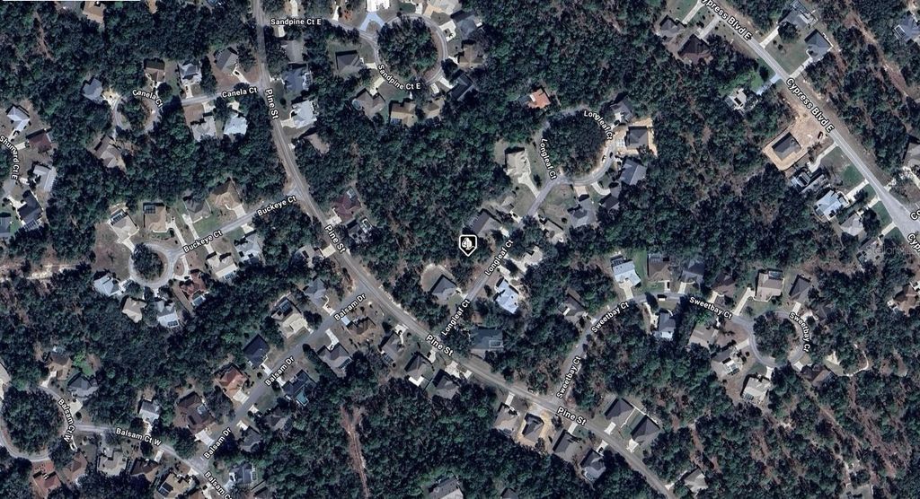 Photo of 4 Longleaf Court, Homosassa, FL 34446 (MLS # A4667742)