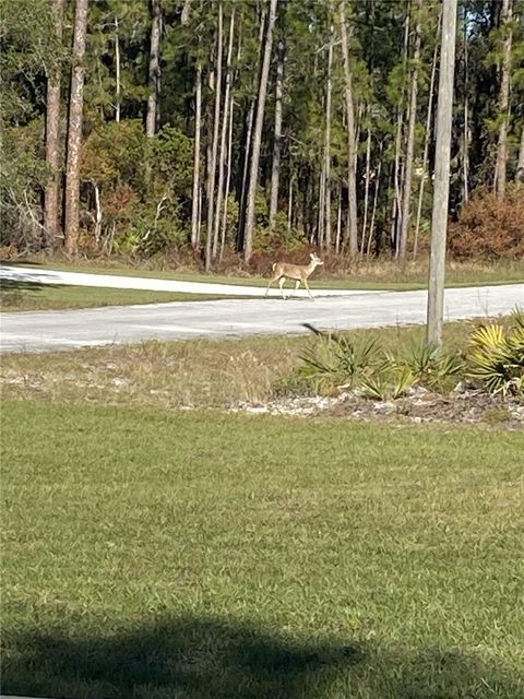 A home in EUSTIS