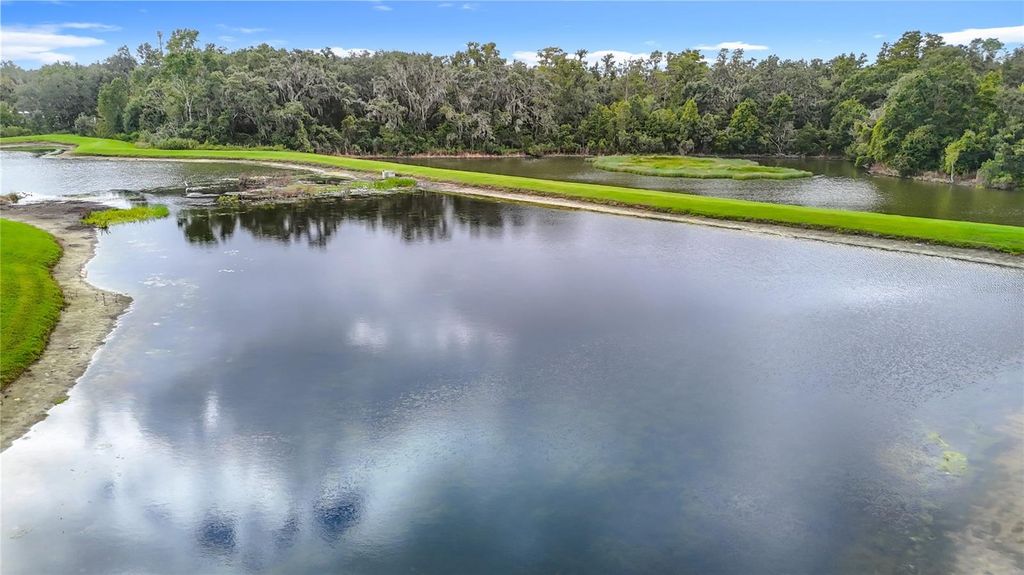 Photo of 20015 Bears Track Lane, Tampa, FL 33647 (MLS # TB8434426)