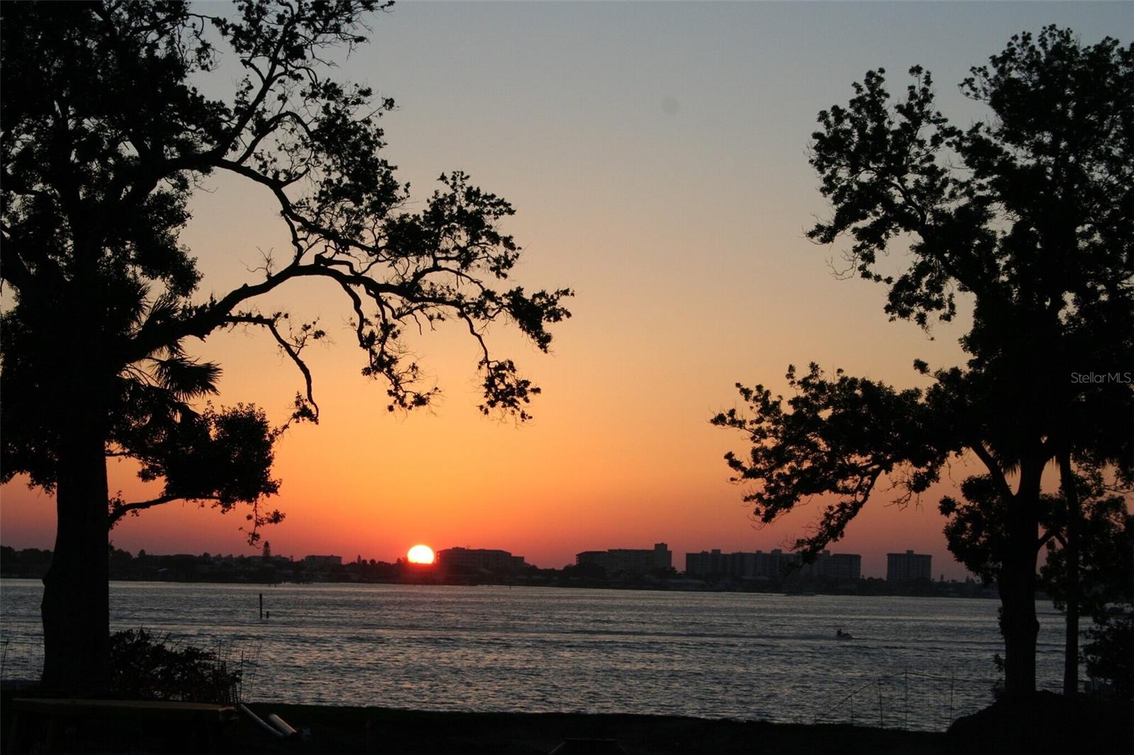 PALM BLUFF PRESERVE - ONE - Land