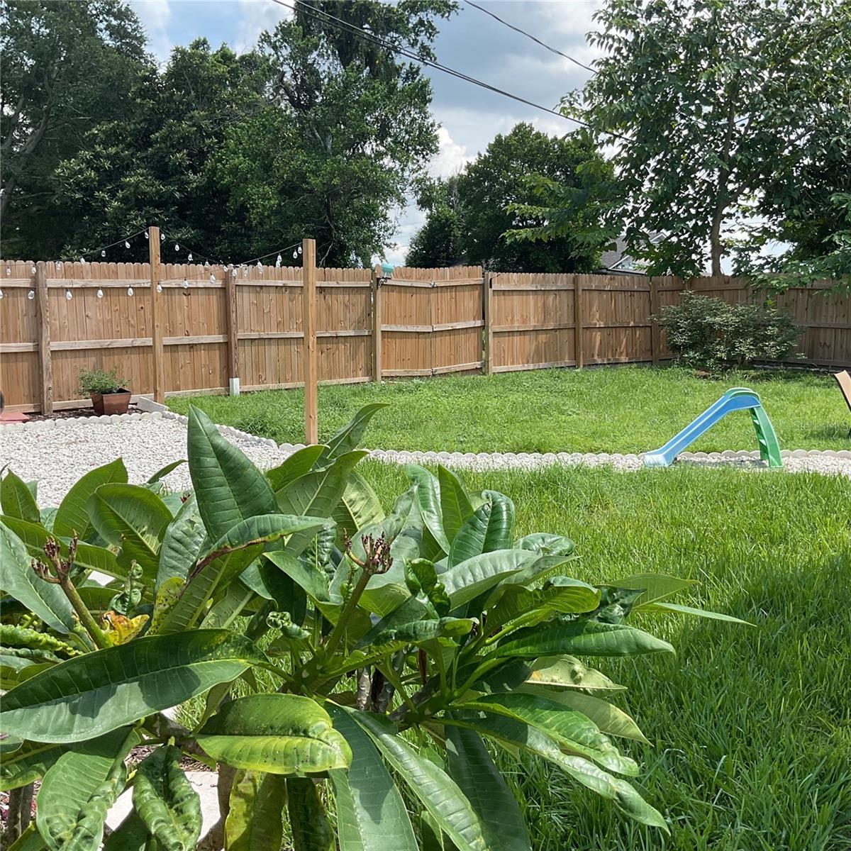 DUNDEE - Residential