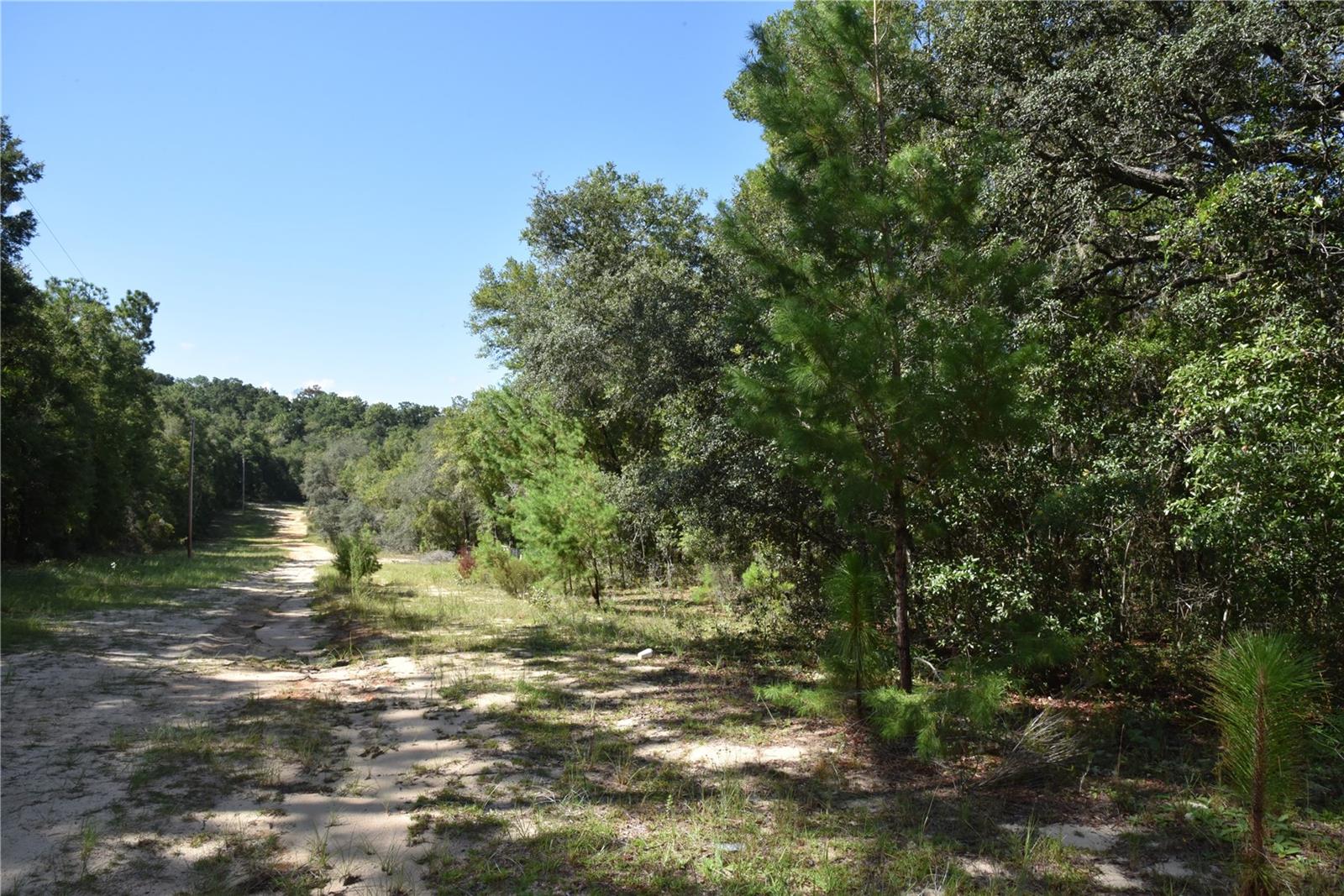 ORANGE BLOSSOM ESTATES - Land