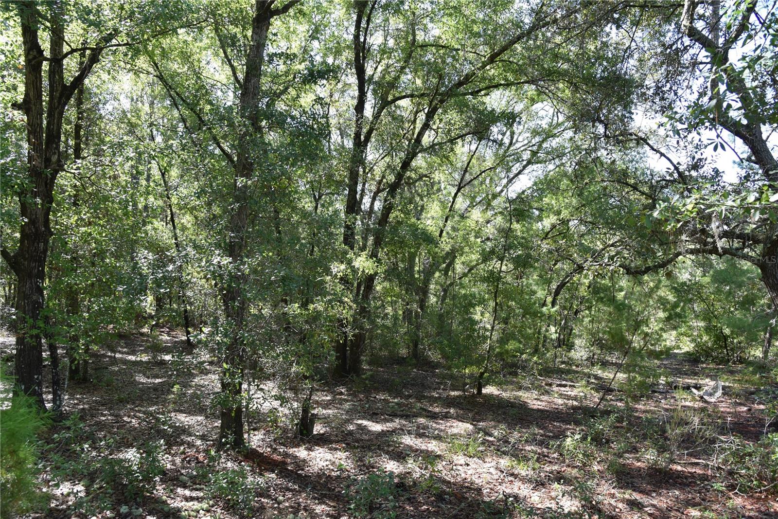 ORANGE BLOSSOM ESTATES - Land