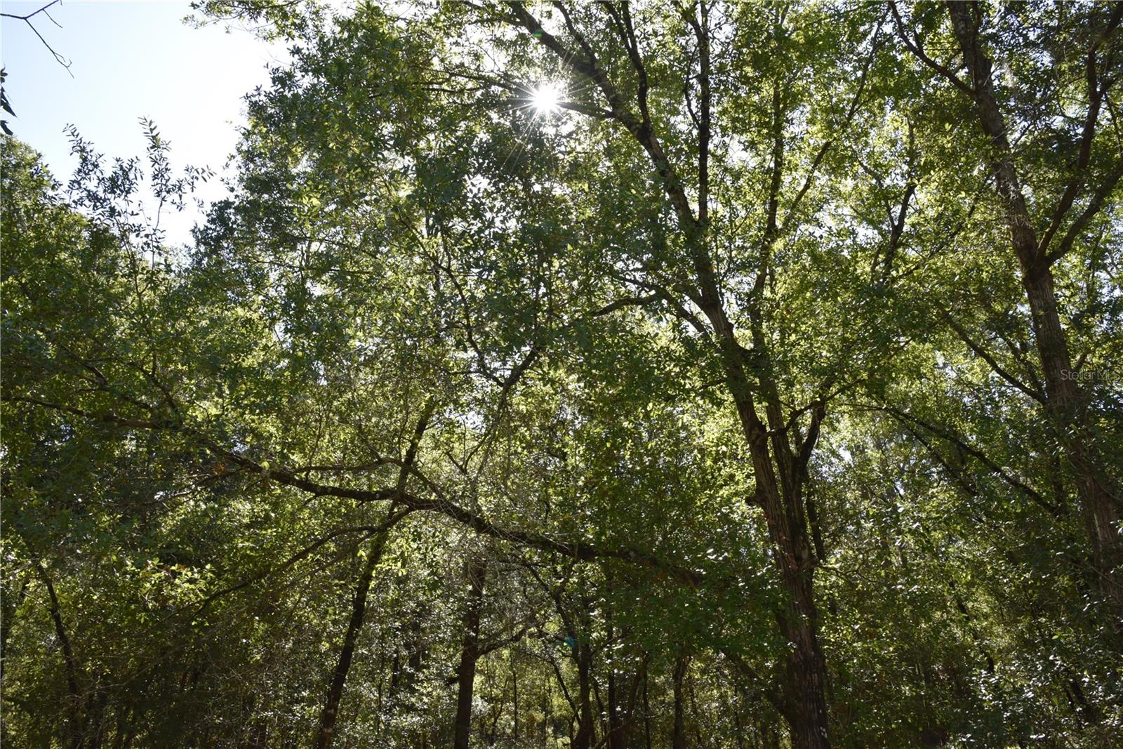 ORANGE BLOSSOM ESTATES - Land