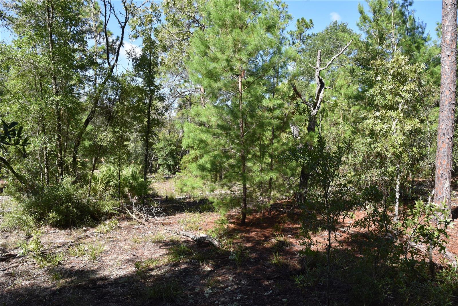 ORANGE BLOSSOM ESTATES - Land