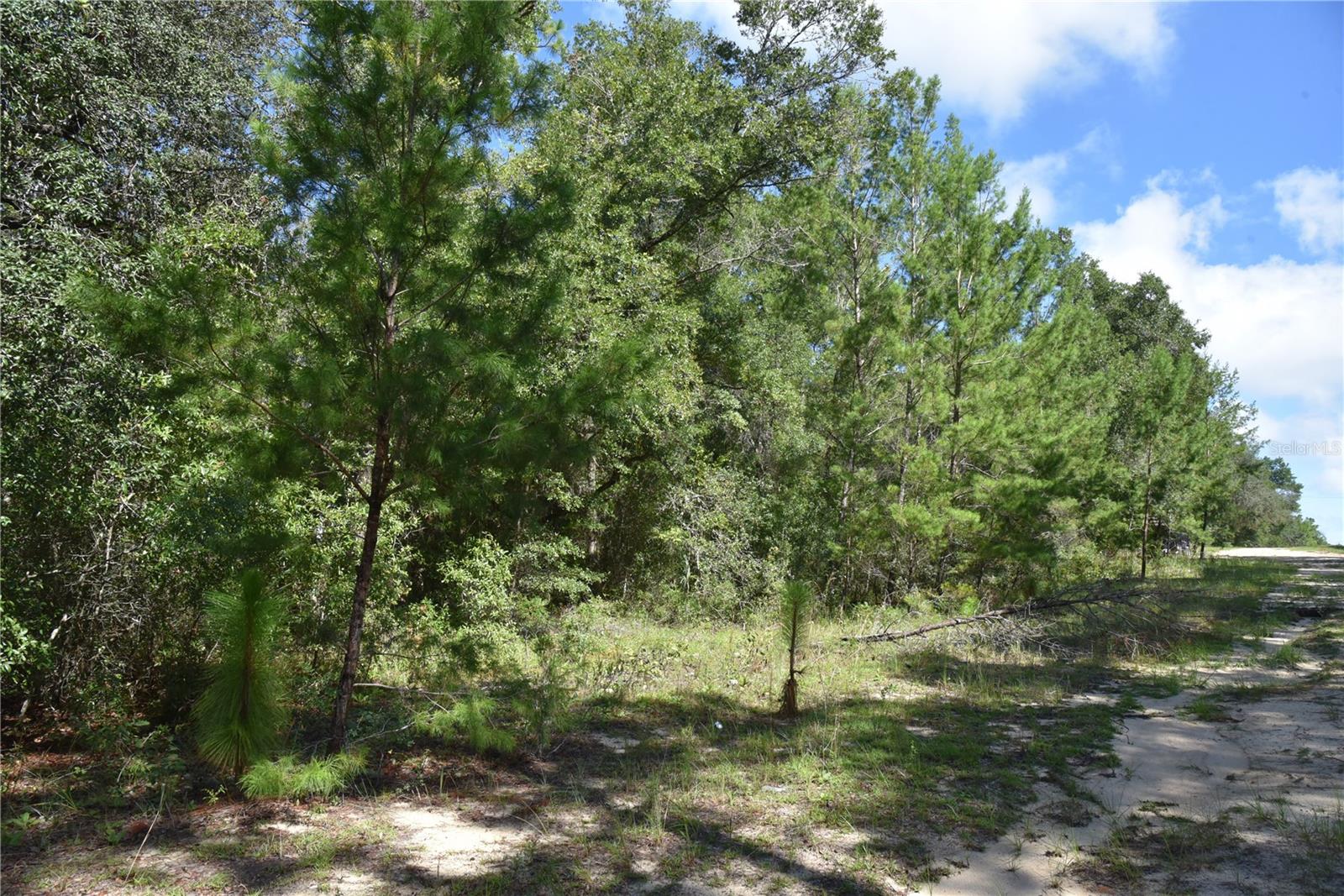 ORANGE BLOSSOM ESTATES - Land