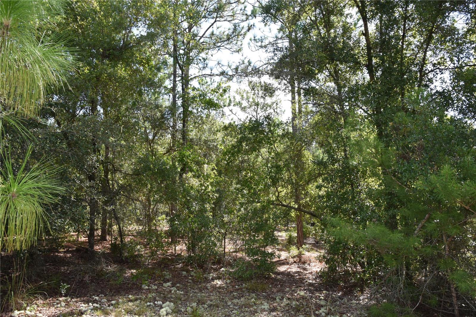 ORANGE BLOSSOM ESTATES - Land