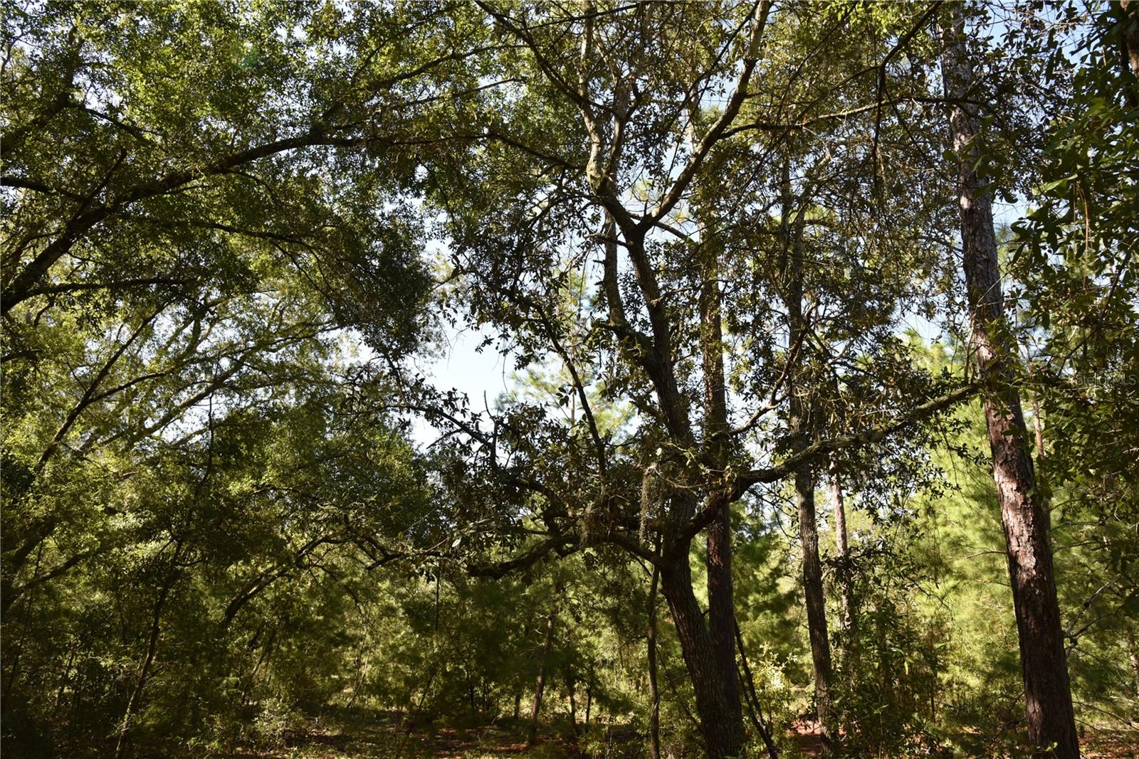 ORANGE BLOSSOM ESTATES - Land