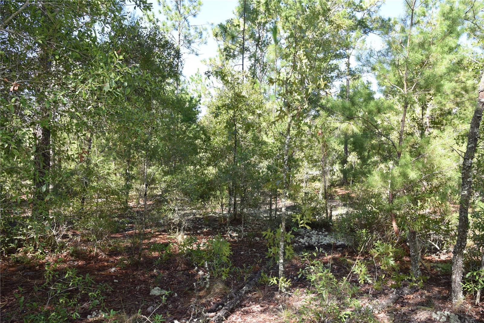 ORANGE BLOSSOM ESTATES - Land