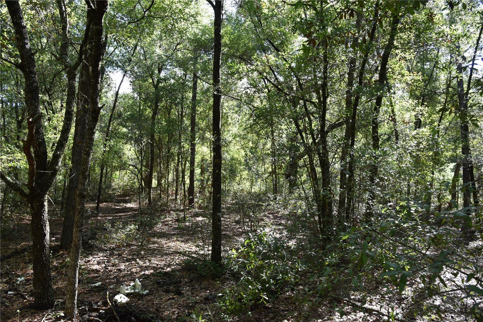 ORANGE BLOSSOM ESTATES - Land