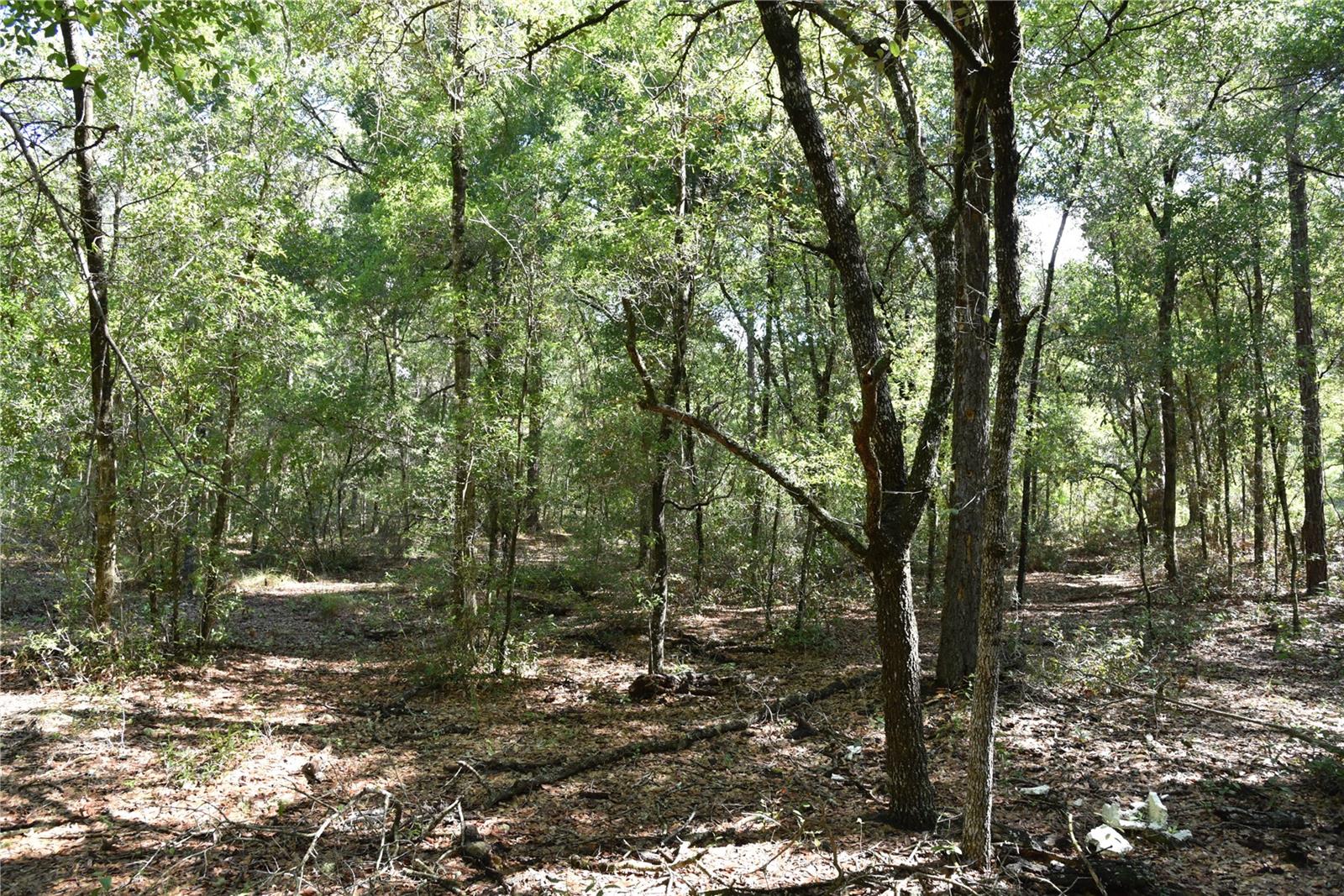 ORANGE BLOSSOM ESTATES - Land