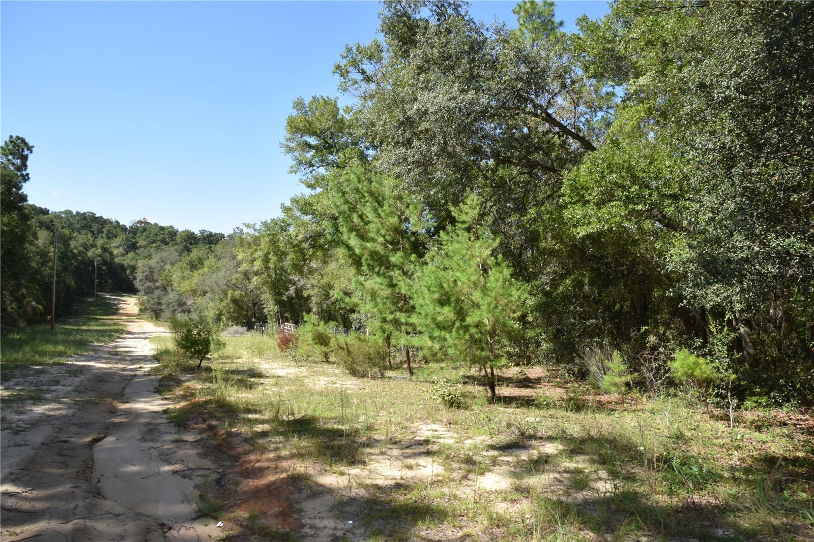 ORANGE BLOSSOM ESTATES - Land