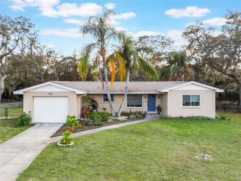 1456 HELENA COURT DELTONA FL 32725