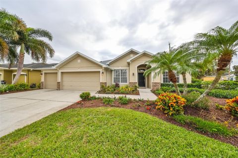 A home in RIVERVIEW