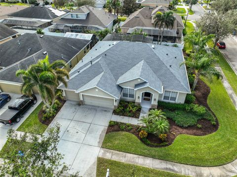 A home in RIVERVIEW