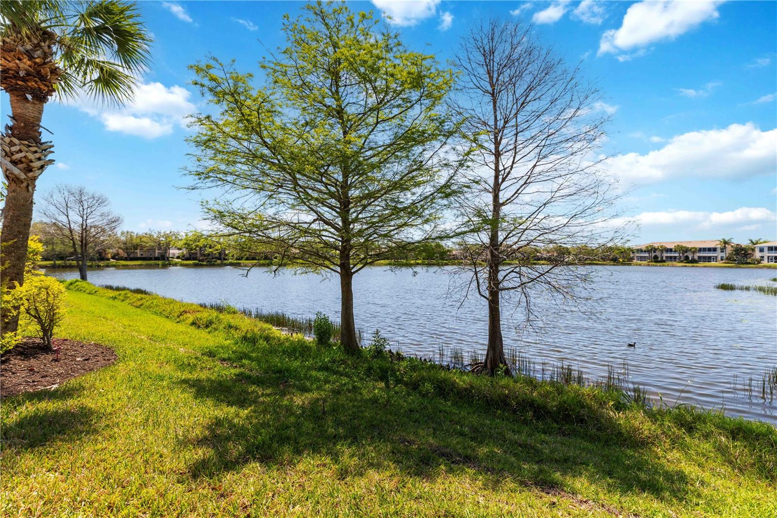 ISLES OF SARASOTA - Residential