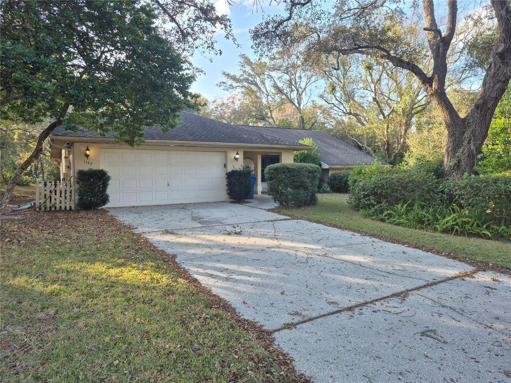 Photo of 1147 Barranca Avenue, Spring Hill, FL 34609 (MLS # TB8466726)