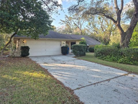 1147 BARRANCA AVENUE SPRING HILL FL 34609