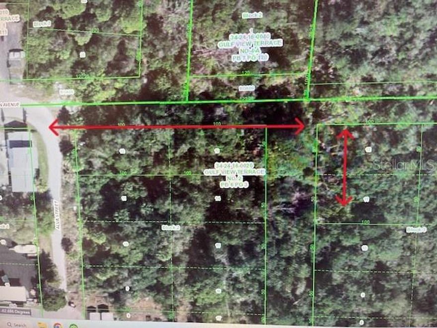 A little less than a half acre undeveloped land, lots 11 and 12 surrounded by residential, unimproved and commercial property. There is a road easement on record but no road has been put in yet. This is a great opportunity to hold the property until the owner of all the remaining land is either going to build or sell the property. Property can only be accessed by foot, road easement are present but have not been put in. Buyers to verify any and all access, building and permitting with Pasco County. Property is surrounded by large parcels of residential and commercial lots. Great Investment.