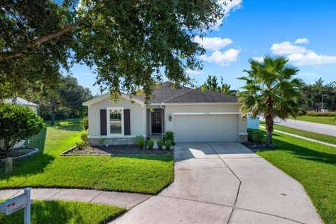 Photo of 15614 Heartleaf Court, Land O Lakes, FL 34638 (MLS # TB8430819)