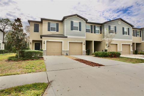 Photo of 17620 Nectar Flume Drive, Land O Lakes, FL 34638 (MLS # TB8454290)