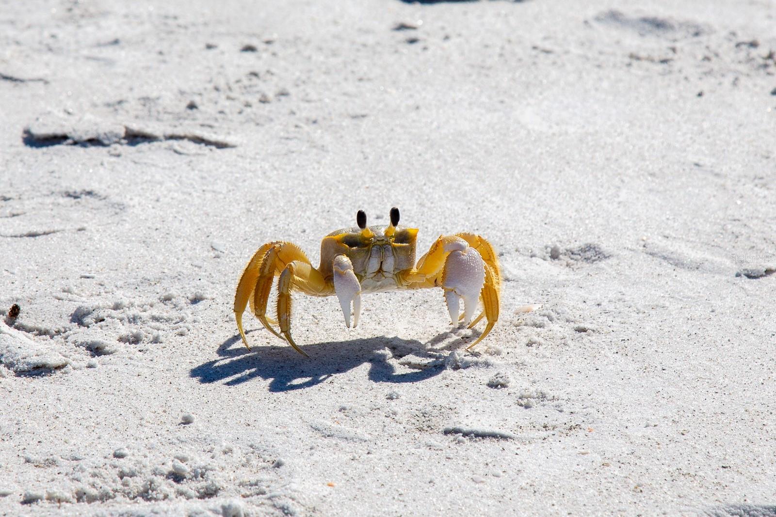 BAILEY-DOBSON - Residential