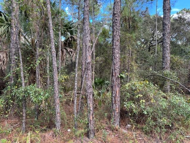 DAYTONA PARK ESTATES REP SEC B - Land