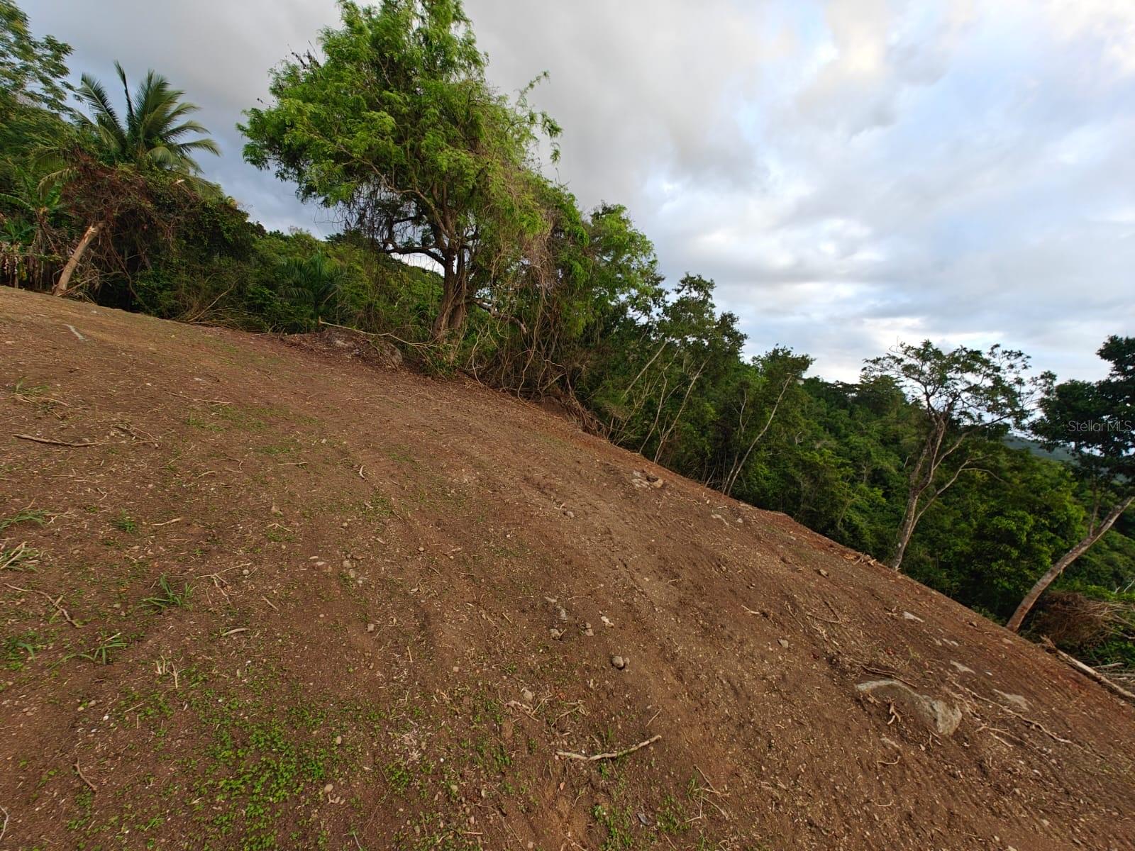 PR-3 HACIENDAS DE CANOVANAS LOT 24