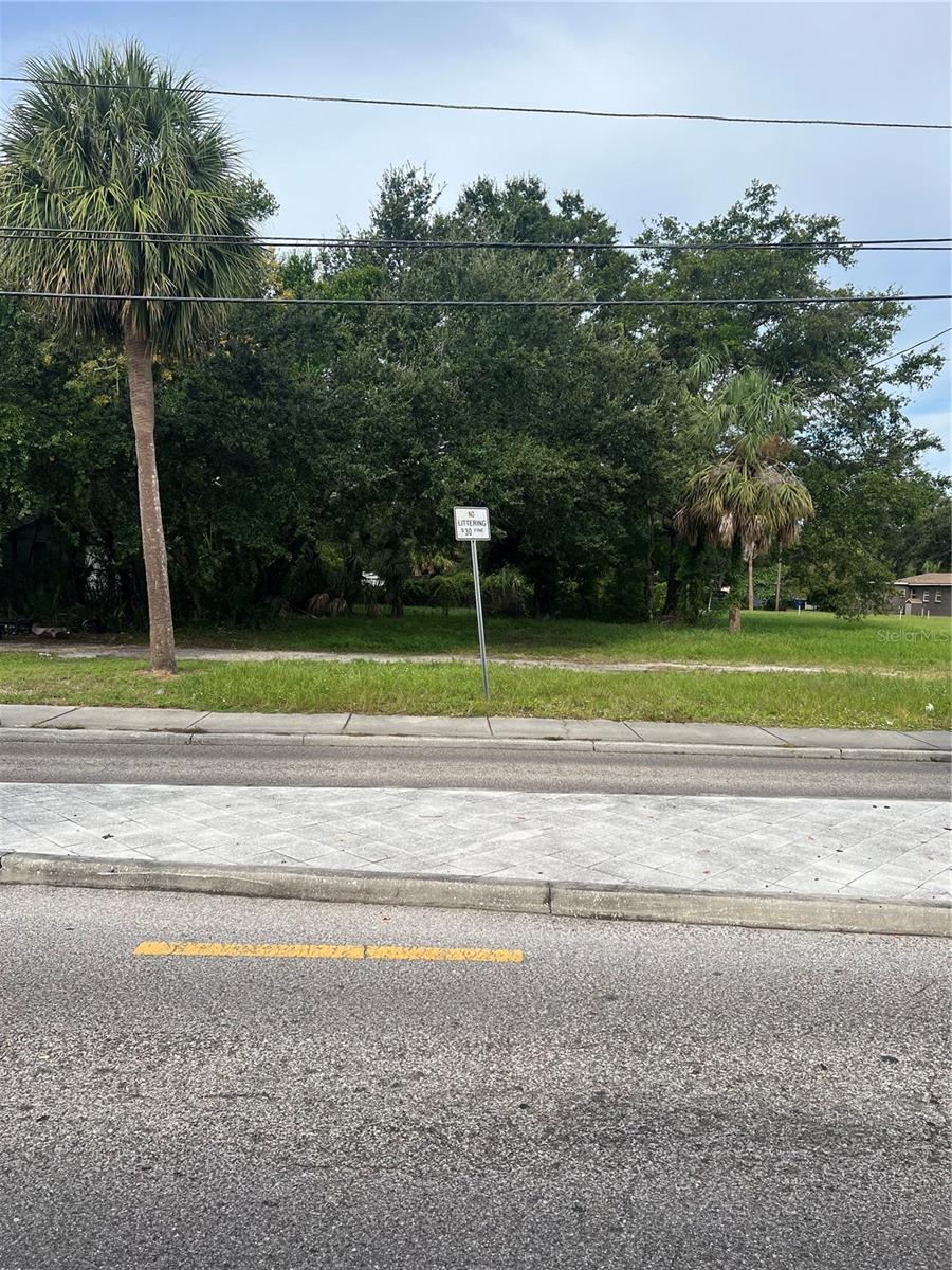 MARTIN LUTHER KING JR AVENUE